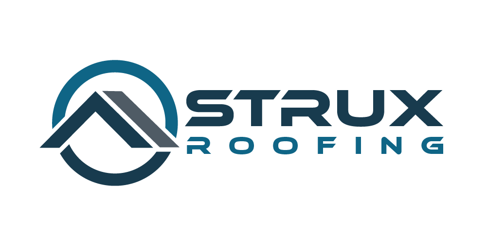 Strux Logo Final