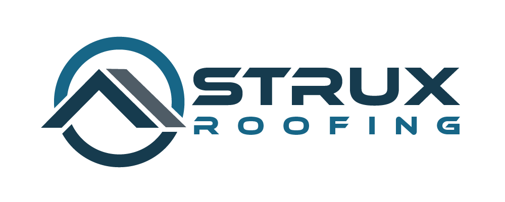 Strux Logo Color