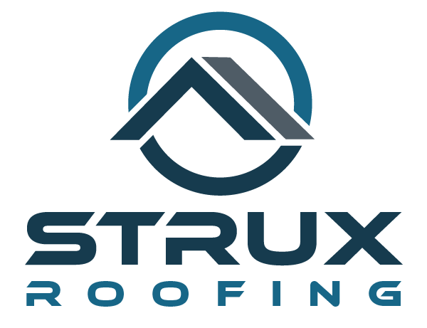 Strux Logo Variation Color